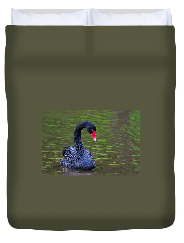 Black Swan Duvet Cover featuring the photograph Black Swan by Ram Vasudev