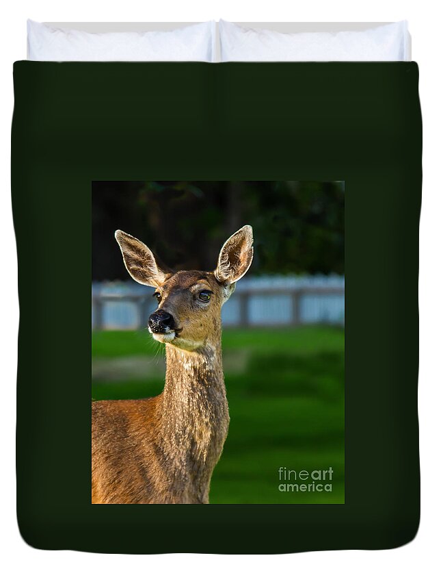 Blacked-tail Duvet Cover featuring the photograph Blacktail Portrait by Robert Bales