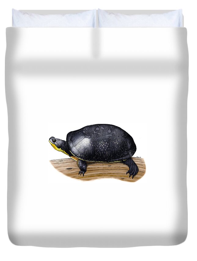 Art Duvet Cover featuring the photograph Blandings Turtle by Roger Hall