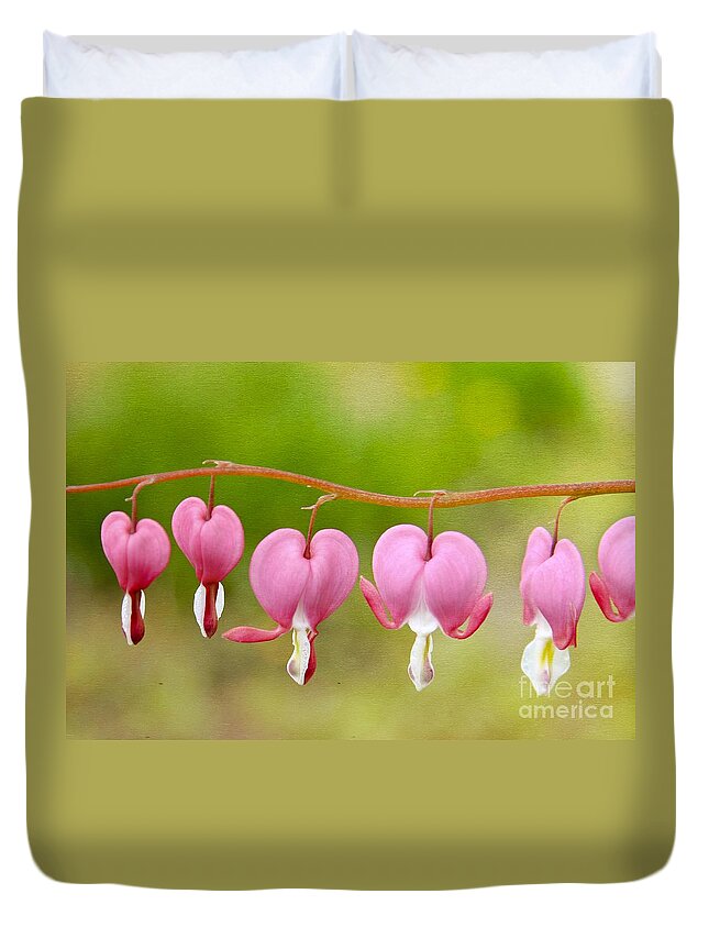 Maine Duvet Cover featuring the photograph Bleeding Hearts by Karin Pinkham