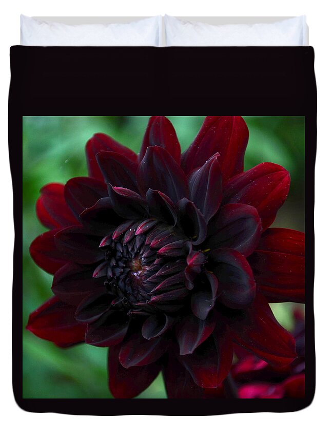 Blood Red Dahlia Duvet Cover For Sale By Kathrine R Mitchell