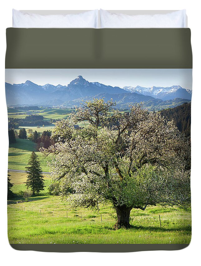 Scenics Duvet Cover featuring the photograph Blooming Apple Tree In A Meadow by Ingmar Wesemann