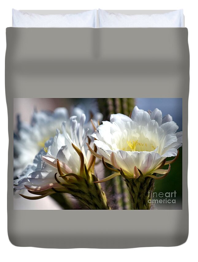 White Cactus Flower Duvet Cover featuring the photograph Blooming Cacti by Deb Halloran