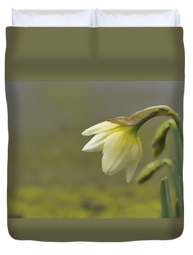 Daffodil Wall Art Duvet Cover featuring the photograph Blooming Daffodils by Ron Roberts