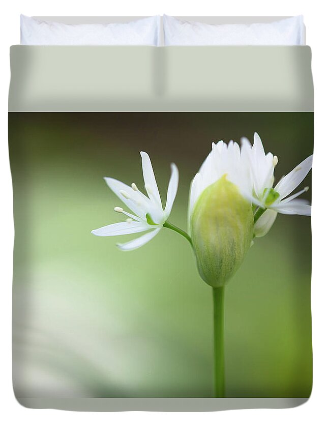 Murnau Duvet Cover featuring the photograph Blooming Wild Garlic Allium Ursinum by Ingmar Wesemann
