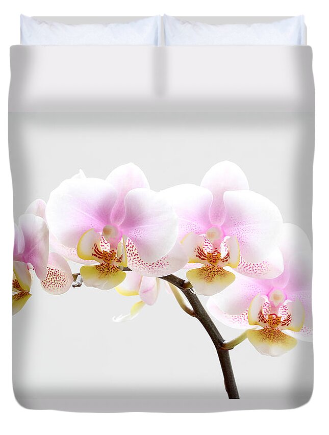 Orchid Duvet Cover featuring the photograph Blooms on White by Juergen Roth