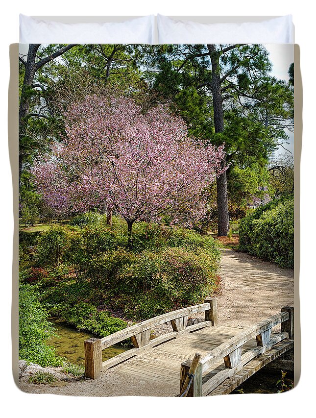 Blossoming Cherry Tree At Houston Japanese Garden Hermann Park