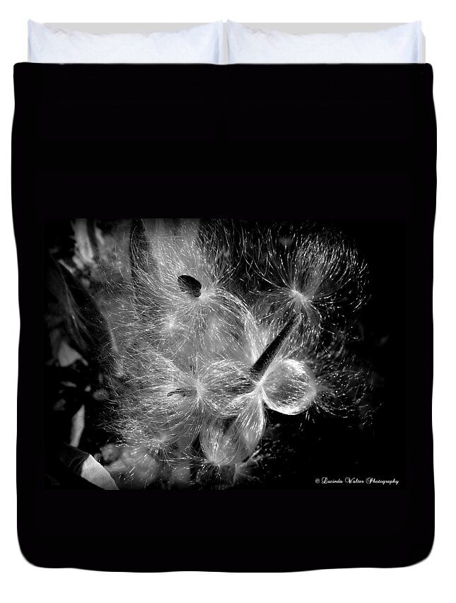 Milkweed Duvet Cover featuring the photograph Blowing in the Wind by Lucinda Walter