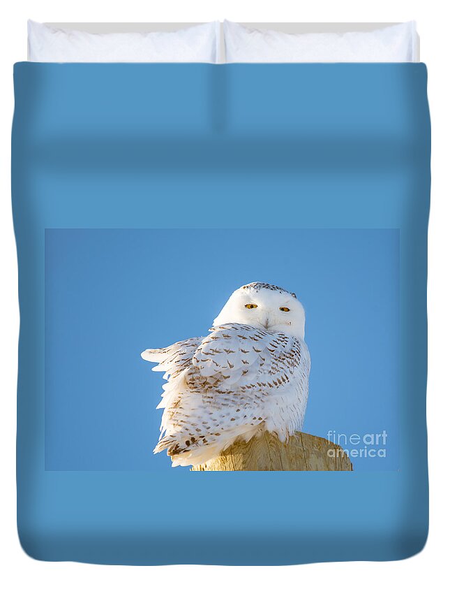  Sky Duvet Cover featuring the photograph Blue and White by Cheryl Baxter