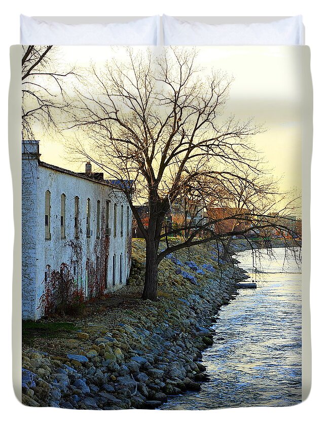 Tree Duvet Cover featuring the photograph Blue and Yellow Morning by Viviana Nadowski