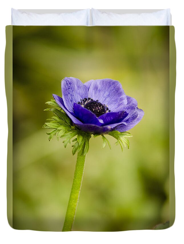 Blue Duvet Cover featuring the photograph Blue Anemone by Spikey Mouse Photography