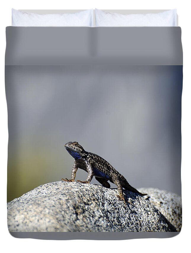 Yosemite Duvet Cover featuring the photograph Blue-Bellied Lizard in Yosemite by Bruce Gourley