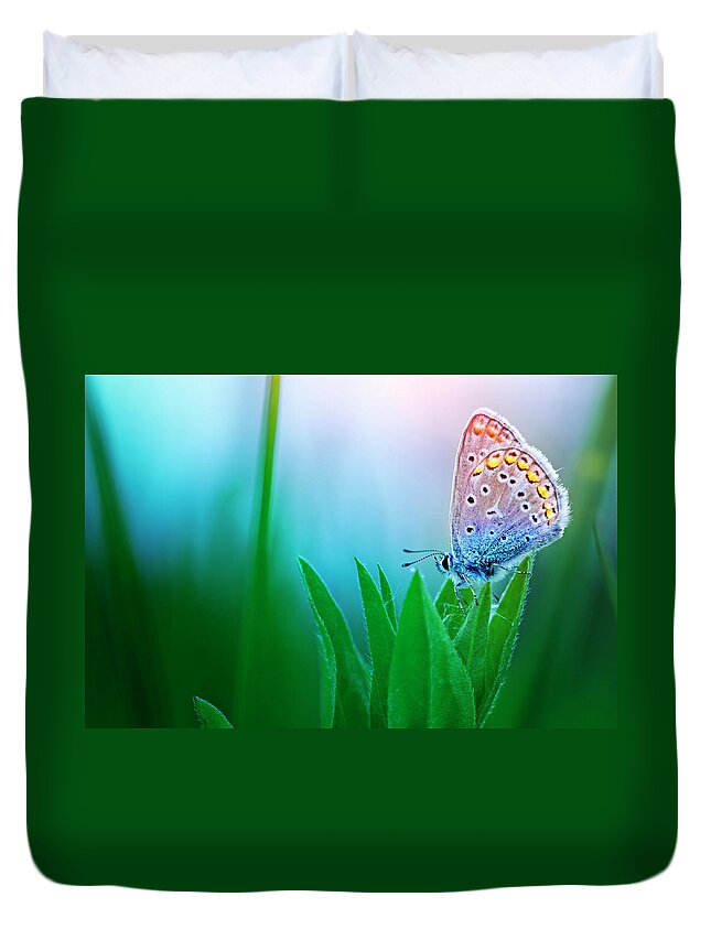 Common Blue Butterfly Duvet Cover featuring the photograph Blue Butterfly by Avalon studio