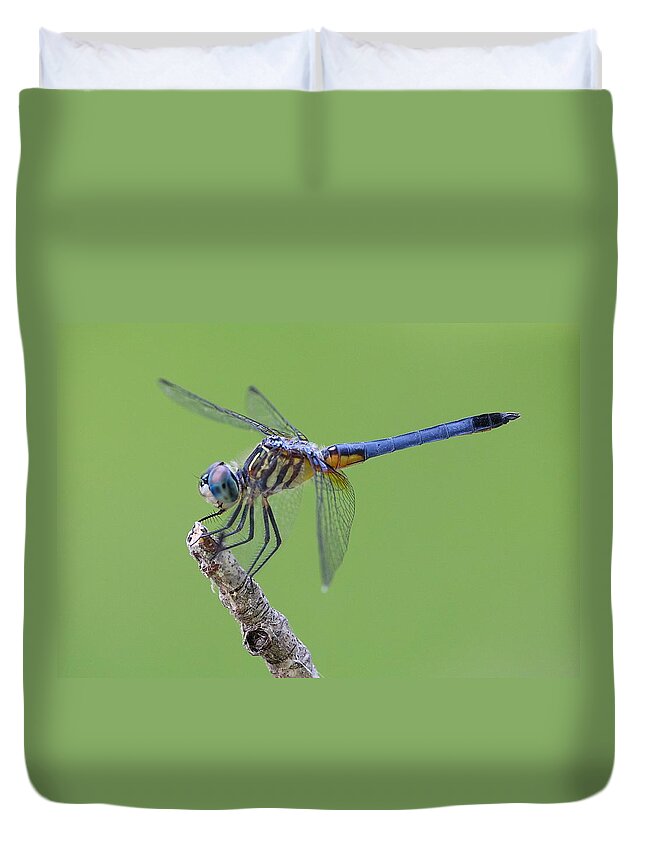 Macro Duvet Cover featuring the photograph Blue Dasher Dragonfly by Ester McGuire