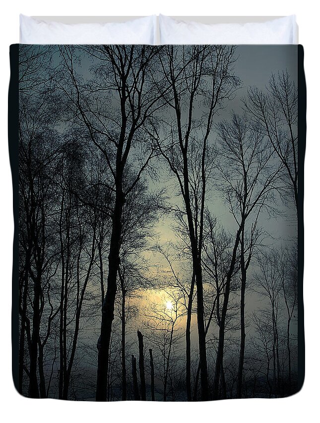 Winter Duvet Cover featuring the photograph Blue Daybreak by Karol Livote