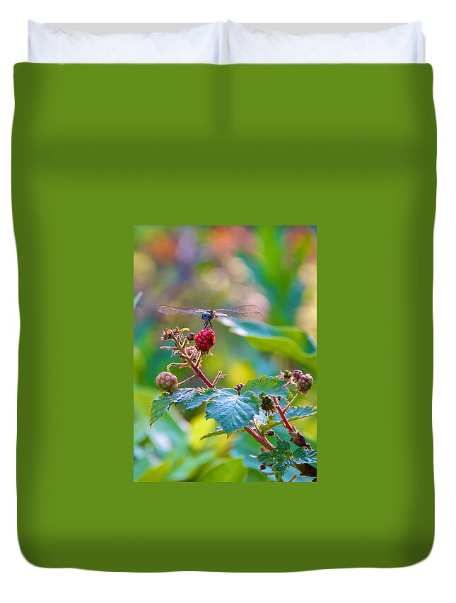Bugs Duvet Cover featuring the photograph Blue Dragonfly on Berry by Kristin Hatt