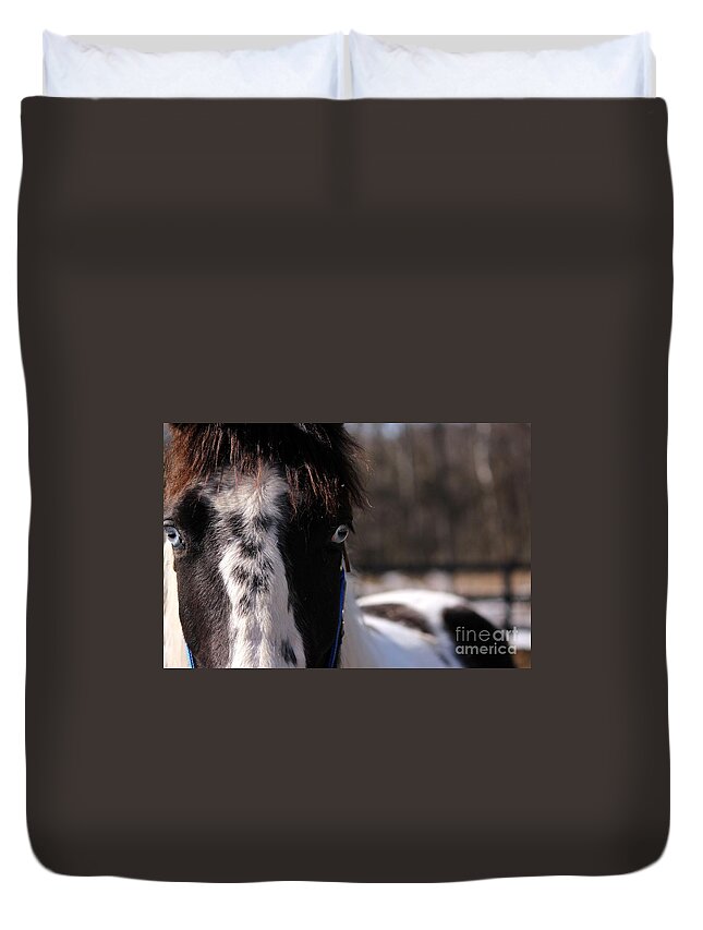 Horse Duvet Cover featuring the photograph Blue Eye Stare by Janice Byer
