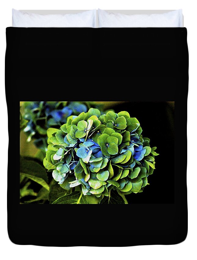 Hawaii Duvet Cover featuring the photograph Blue Green Hydrangea by Lehua Pekelo-Stearns