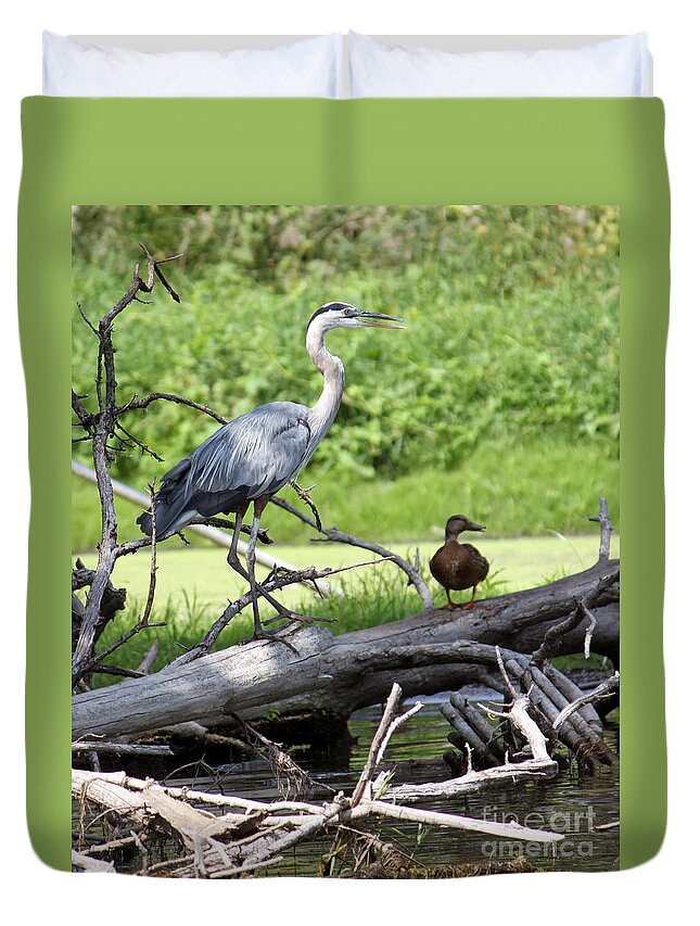 Blue Heron Duvet Cover featuring the photograph Blue Heron and Friend by Debbie Hart