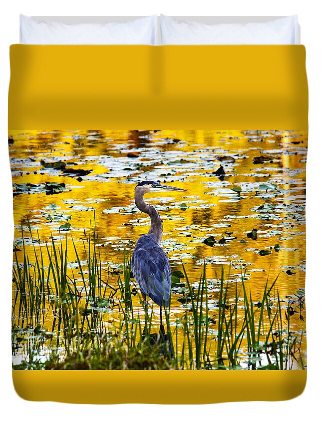 Blue Heron Duvet Cover featuring the photograph Blue Heron In A Golden Pond by Marina Kojukhova