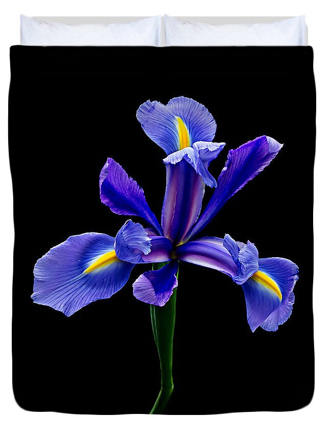 Iris Duvet Cover featuring the photograph Blue Iris Beauty by Mary Jo Allen
