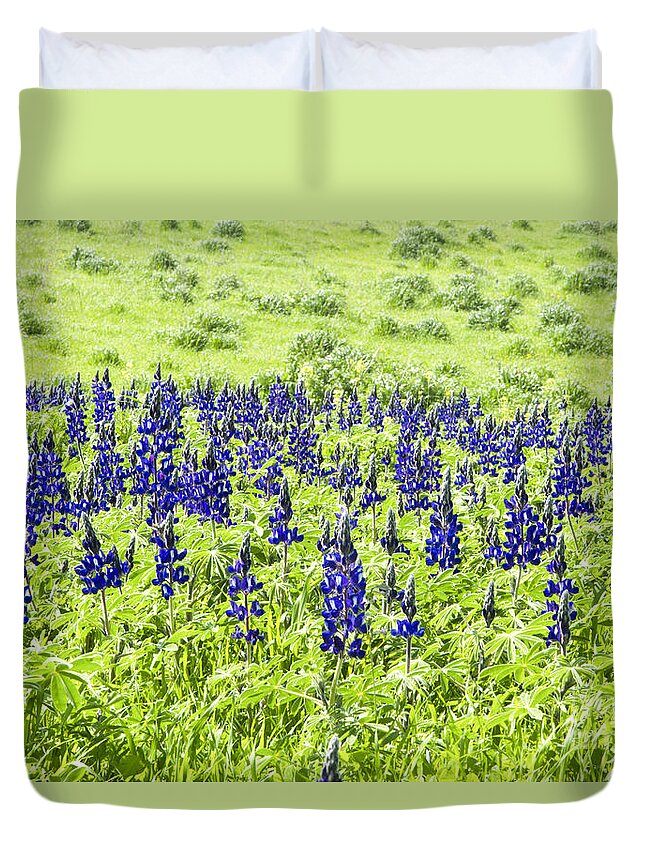 Blue Lupin Duvet Cover featuring the photograph Blue Lupine by Eyal Bartov