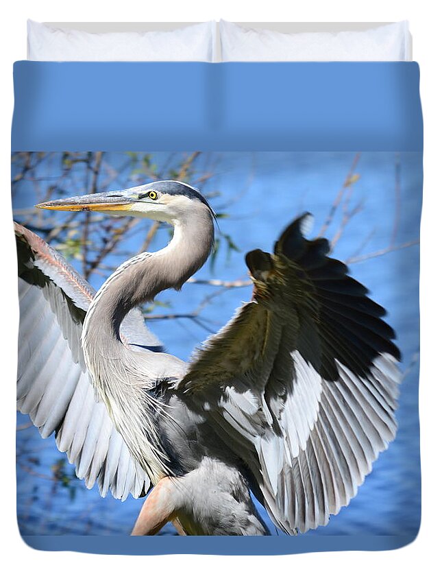 great Blue Heron Duvet Cover featuring the photograph Blue on Blue by Susan Molnar