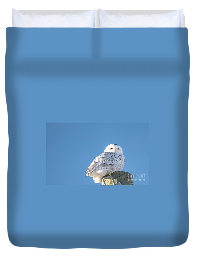 Field Duvet Cover featuring the photograph Blue Sky Snowy by Cheryl Baxter