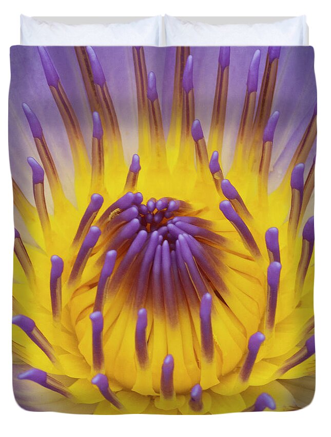 Water Lily Duvet Cover featuring the photograph Blue Water Lily by Heiko Koehrer-Wagner