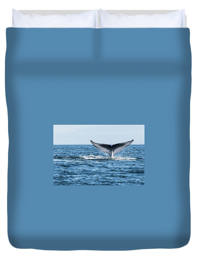 Blue Whale Duvet Cover featuring the photograph Blue Whale Balaenoptera Musculus Tail by Michael Mike L. Baird Flickr.bairdphotos.com