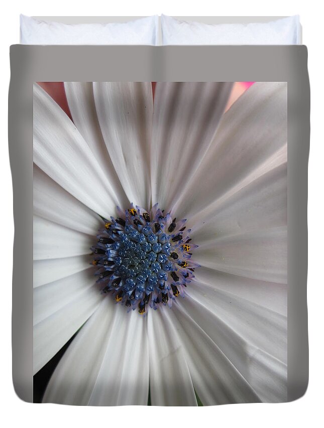 Stareye Duvet Cover featuring the photograph Blue-white loveliness by Rosita Larsson