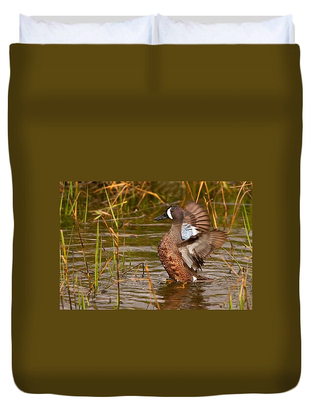 Blue-winged Teal Duvet Cover featuring the photograph Male Blue-winged Teal by Ram Vasudev