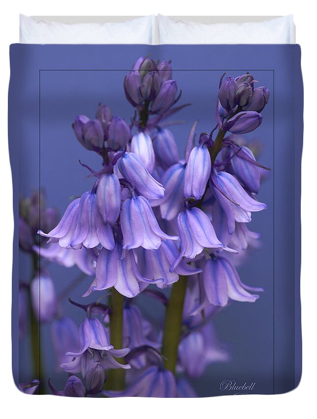 Bluebells Duvet Cover featuring the photograph Bluebell Days by David Birchall