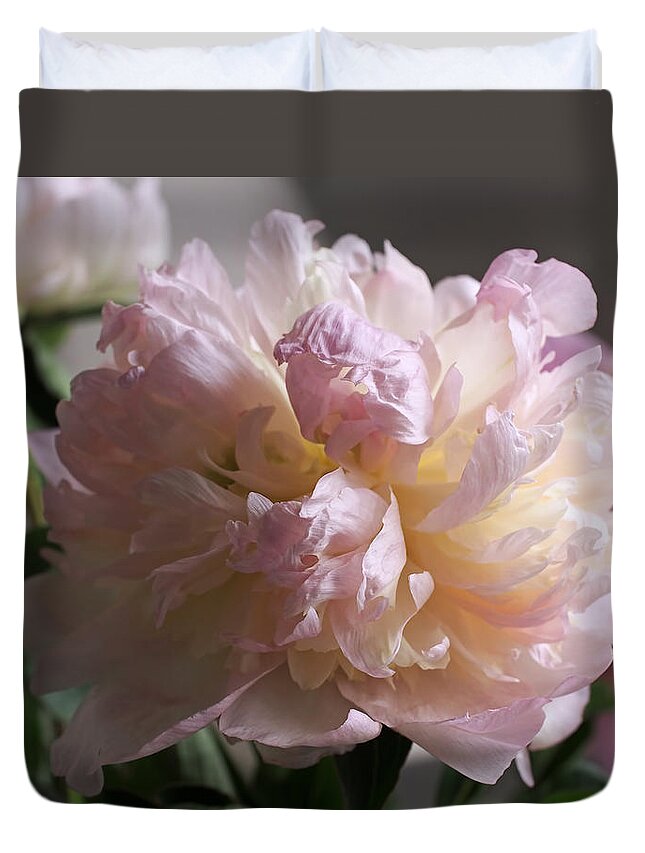 Peony Duvet Cover featuring the photograph Blushing Peony by Rona Black