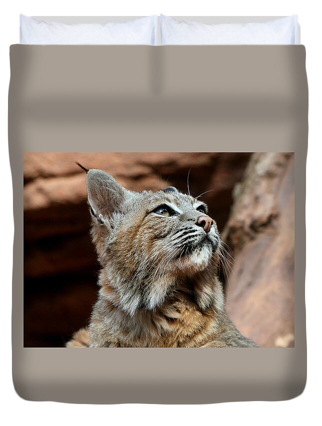 Netherlands Duvet Cover featuring the photograph Bobcat Portrait by Ger Bosma