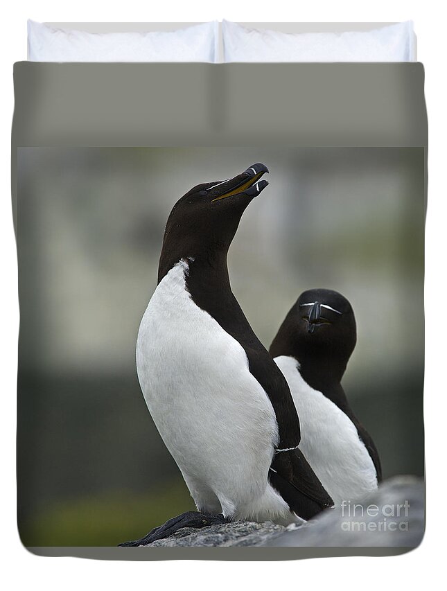 Festblues Duvet Cover featuring the photograph Bonded for Life... by Nina Stavlund