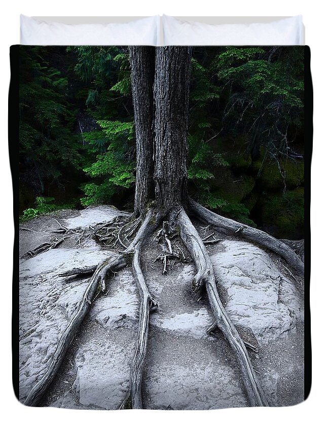 Avalanche Creek Duvet Cover featuring the photograph Bones by David Andersen