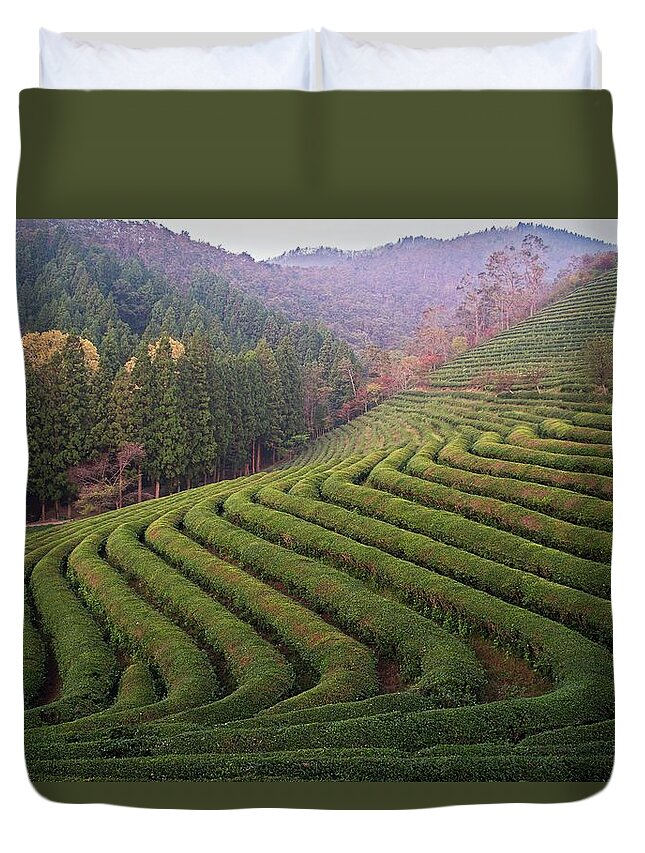 Jeollanam-do Duvet Cover featuring the photograph Boseong Green Tea Fields by Matt Macdonald