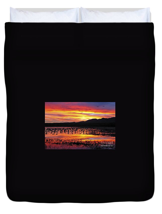 Ralser Duvet Cover featuring the photograph Bosque sunset II by Steven Ralser