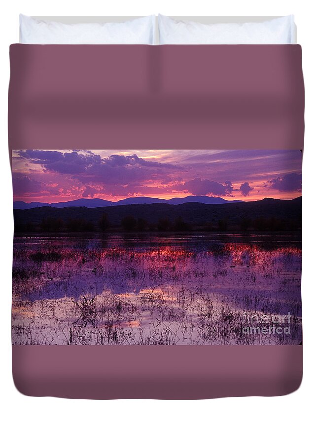 Bosque Duvet Cover featuring the photograph Bosque sunset - purple by Steven Ralser