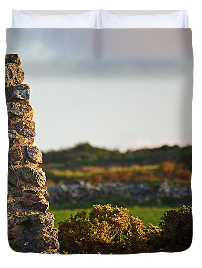 Fox Duvet Cover featuring the photograph Botallack Fox at Sunset by Terri Waters