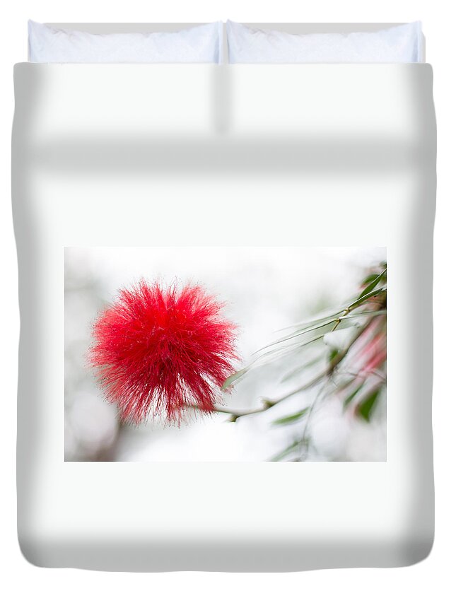 Canada Duvet Cover featuring the photograph Botanical Conservatory 6 by Jakub Sisak