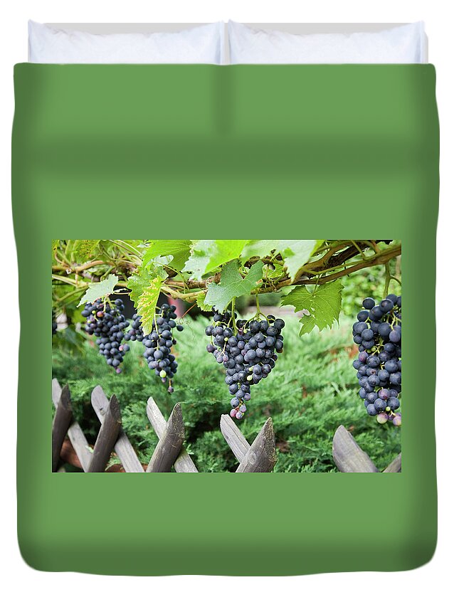 Hanging Duvet Cover featuring the photograph Bountiful Harvest by Diephosi