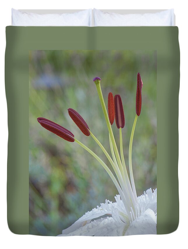 Flower Duvet Cover featuring the photograph Bouquet on Bokeh by Jean-Pierre Ducondi