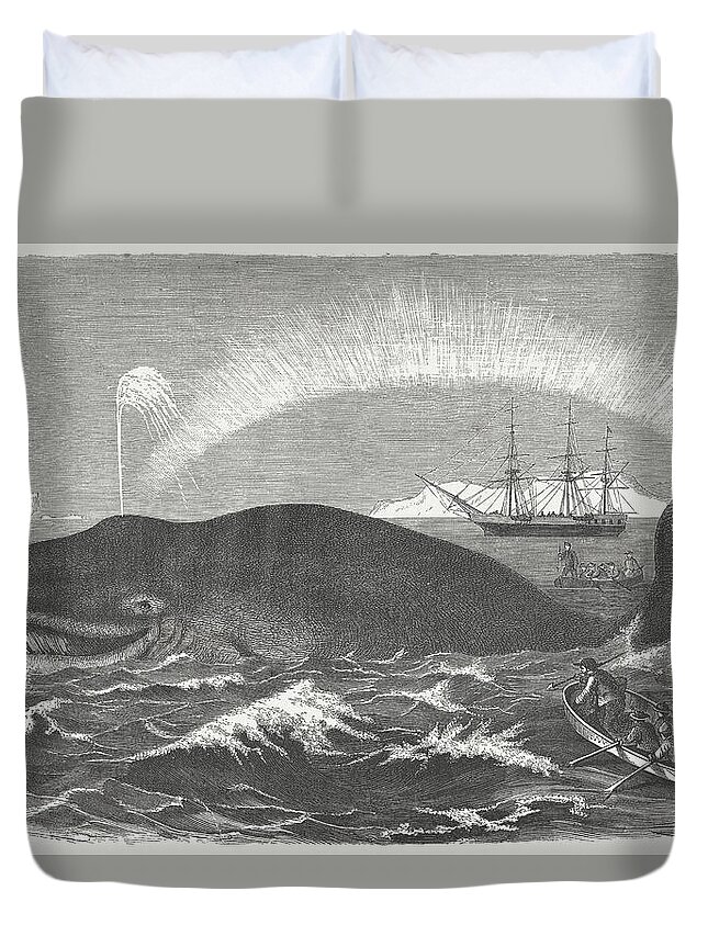 Sailboat Duvet Cover featuring the digital art Bowhead Whale Is Hunted, Wood by Zu 09