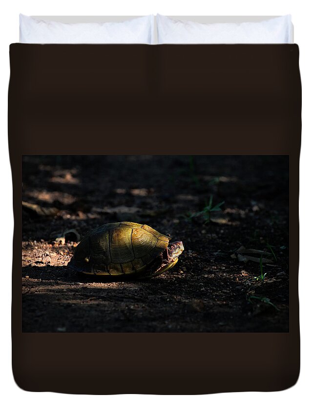 Box Turtle Duvet Cover featuring the photograph Box Turtle at Sunrise on Old Erbie Road by Michael Dougherty