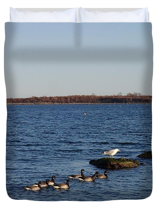 Brants Duvet Cover featuring the photograph Brants N Gull by Robert Nickologianis