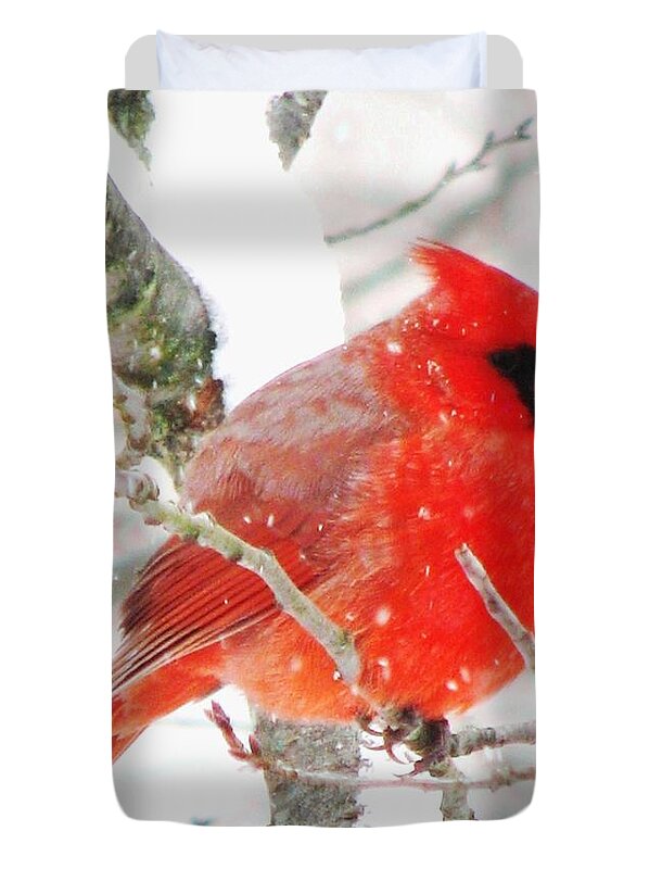 Cardinals Duvet Cover featuring the photograph Braving The Storm by Angela Davies