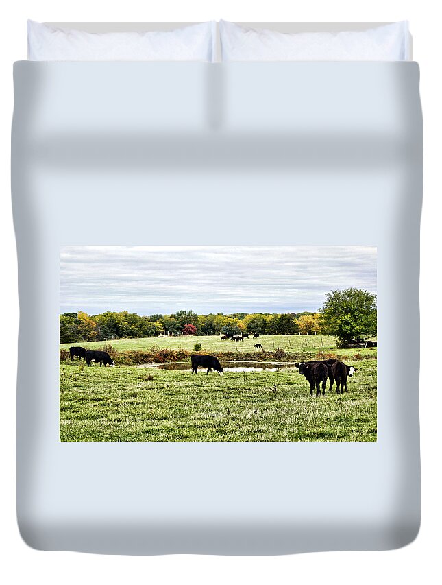 Cow Duvet Cover featuring the photograph Breakfast Interrupted by Cricket Hackmann