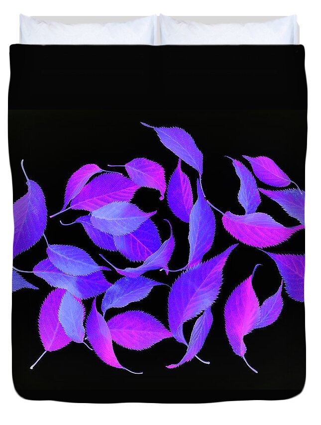 Haslemere Duvet Cover featuring the photograph Bright Coloured Leaf Fantasy On Black by Rosemary Calvert